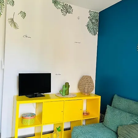 Un Coin Tropical En Provence !